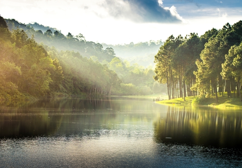ทำให้ประชาชนสามารถตรวจสอบข้อมูลพื้นที่ป่าในประเทศไทยได้